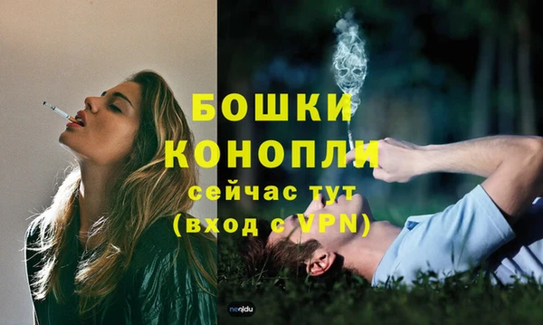 каннабис Коряжма