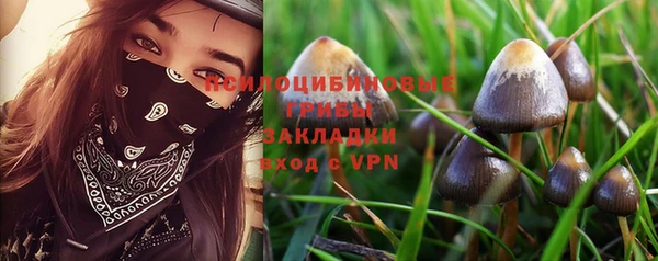 альфа пвп Корсаков