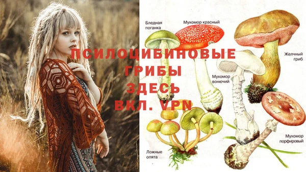 МДПВ Костерёво