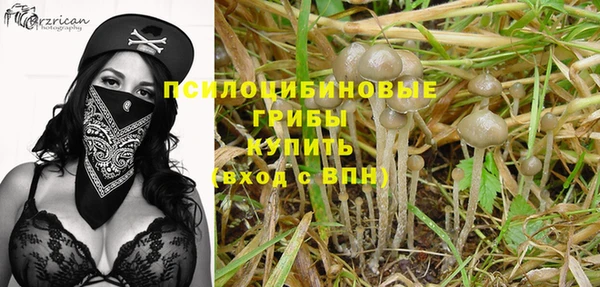 каннабис Коряжма