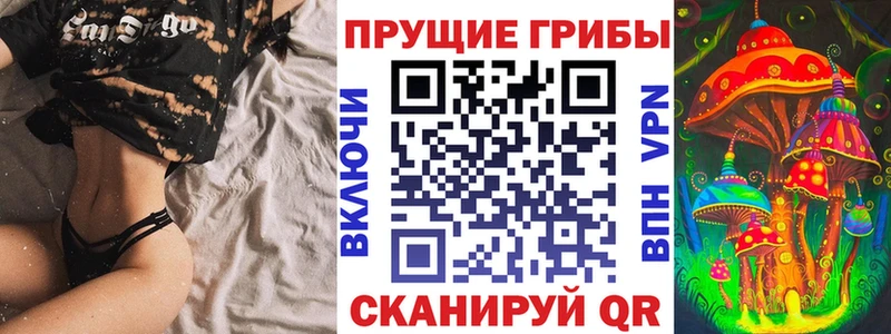 Псилоцибиновые грибы мицелий  Купить закладки  Кировград 